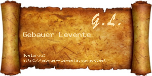 Gebauer Levente névjegykártya